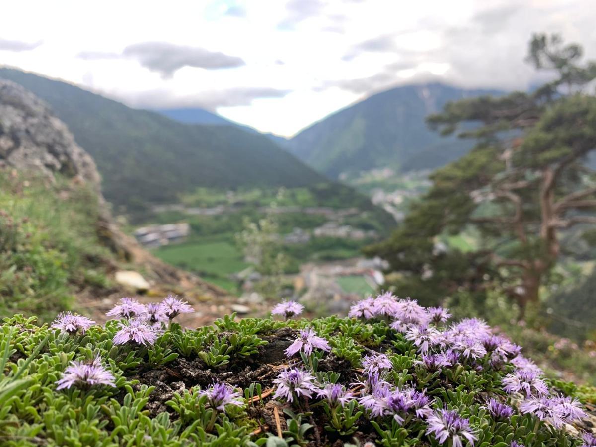 Passamane Pb - Canillo - Casco Antiguo 外观 照片